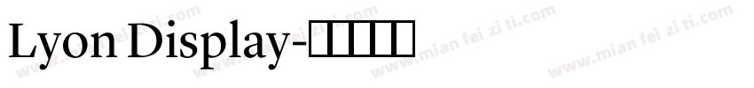 Lyon Display字体转换
